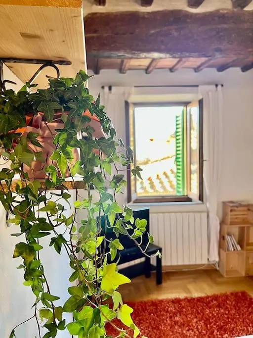 Siena - A Pochi Passi Da Piazza Del Campo Apartment